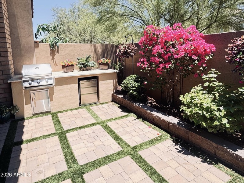 Backyard/BBQ