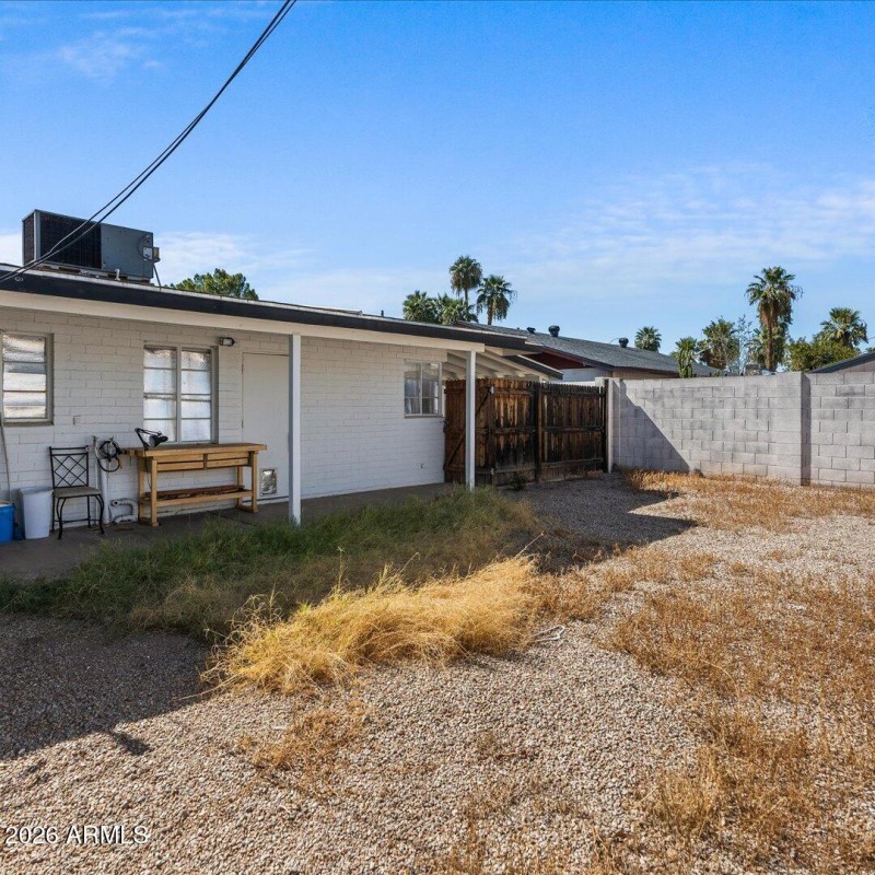 Backyard 451