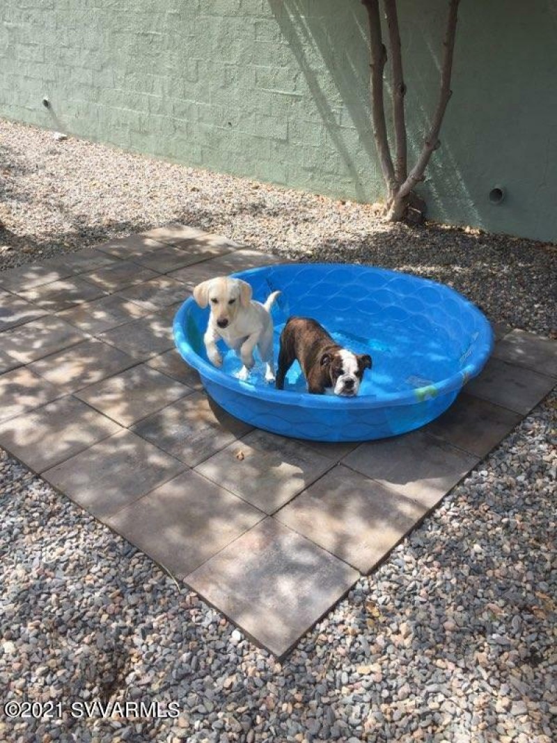 output-image1637356770771