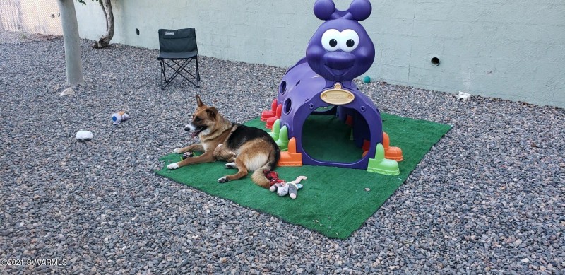 output-image1637356113056