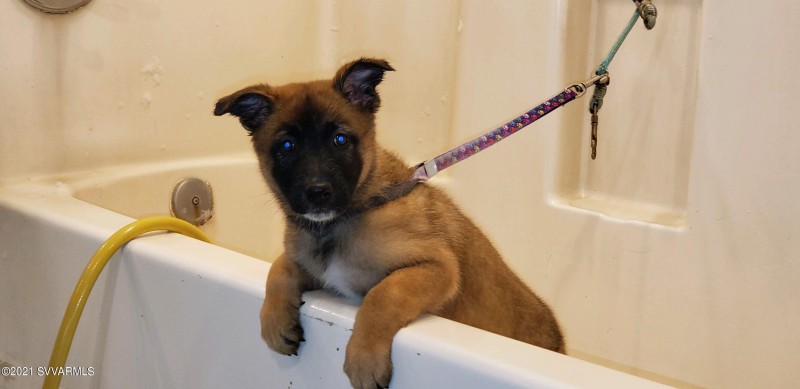 output-image1637356070836