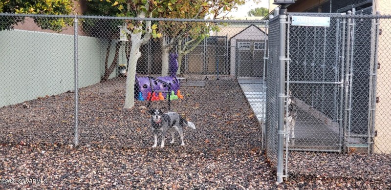 output-image1637356024167