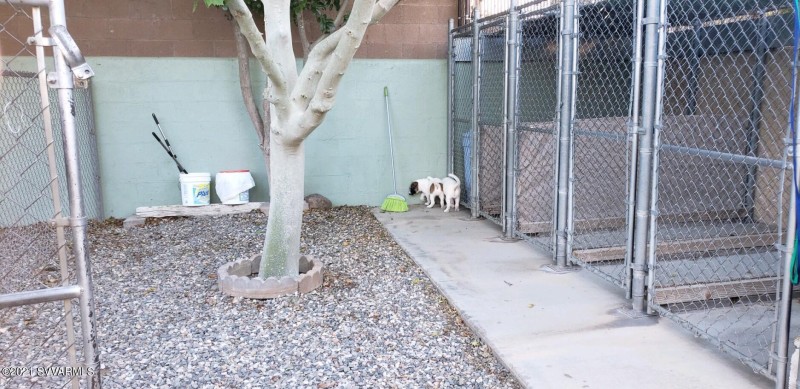 output-image1637355926248