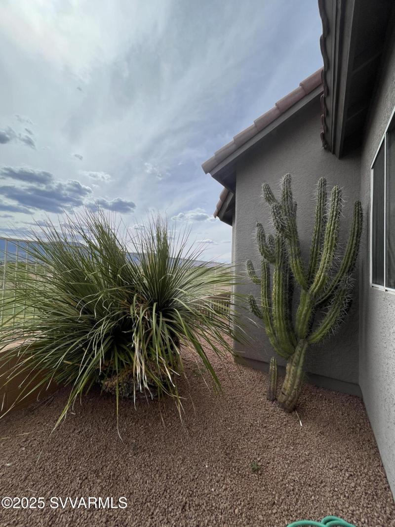 Back of house 1