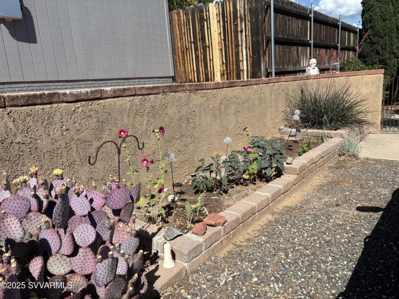 Front side yard