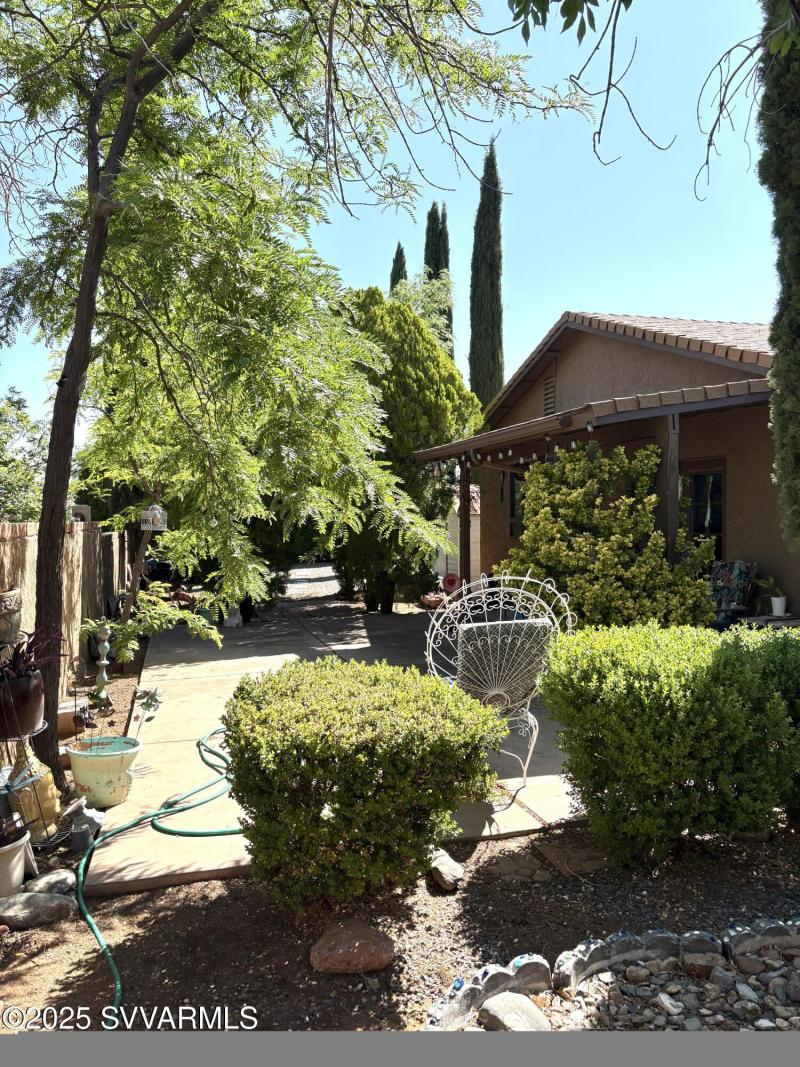 back yard (2)