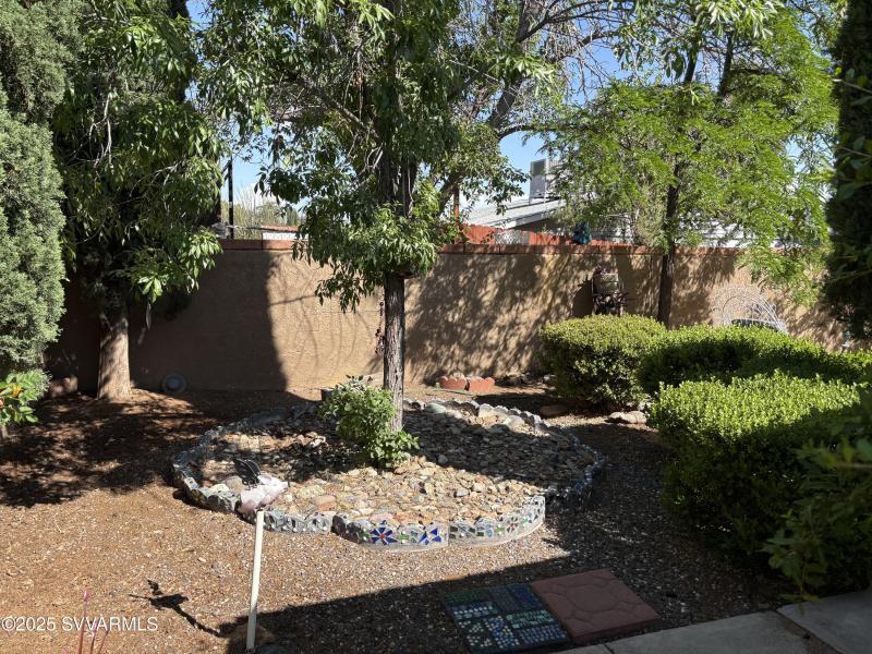 back yard