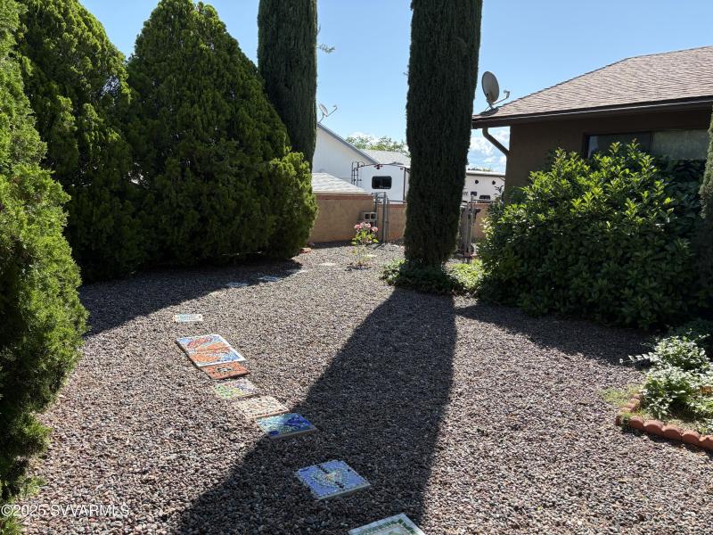 back yard 8