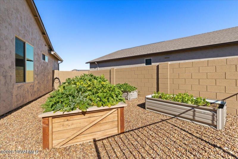 Backyard Garden