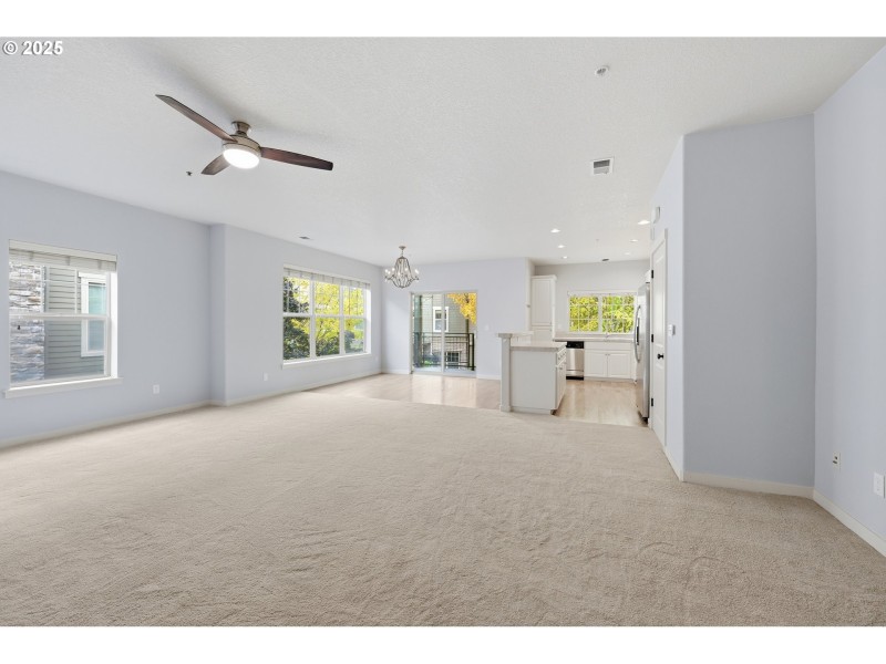 Living Room/Entrance