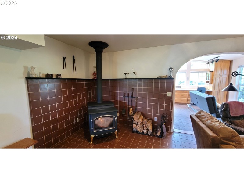Fireplace Wood Burning Stove/Insert