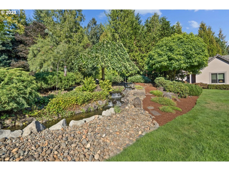 Water Feature