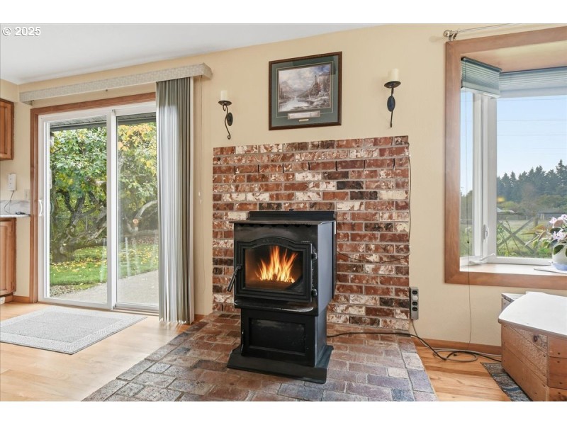 Fireplace Pellet Stove