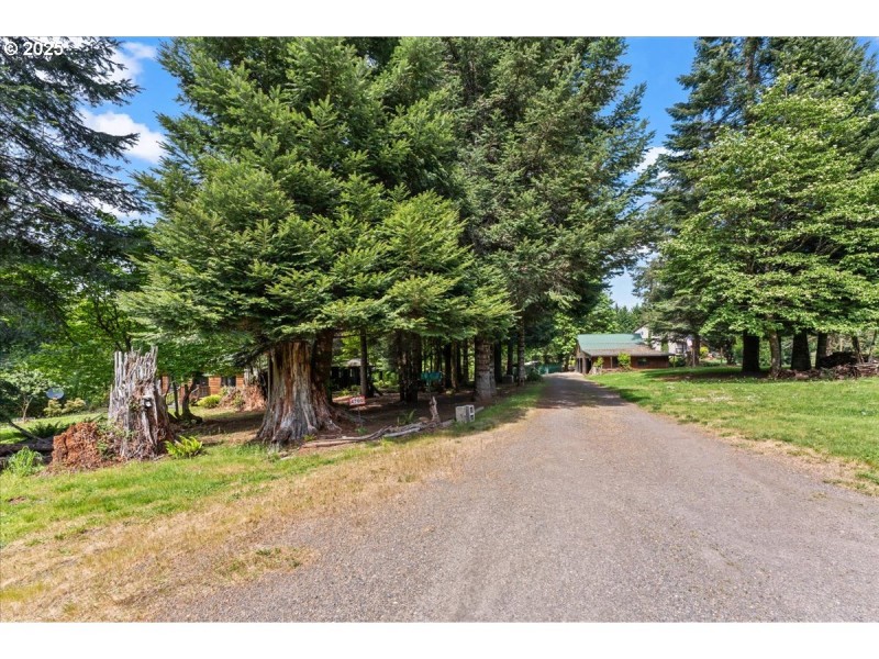 Driveway
