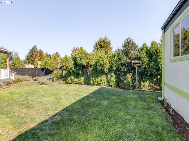Yard