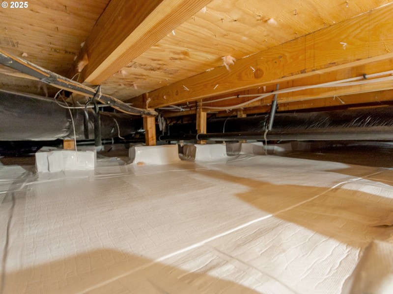 Crawl Space