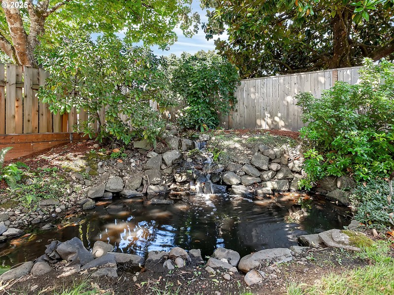 Water Feature