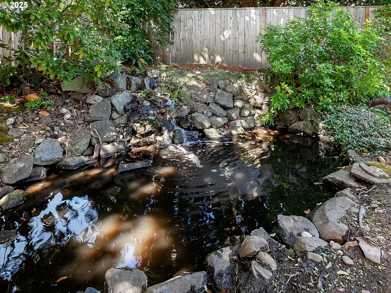 Water Feature