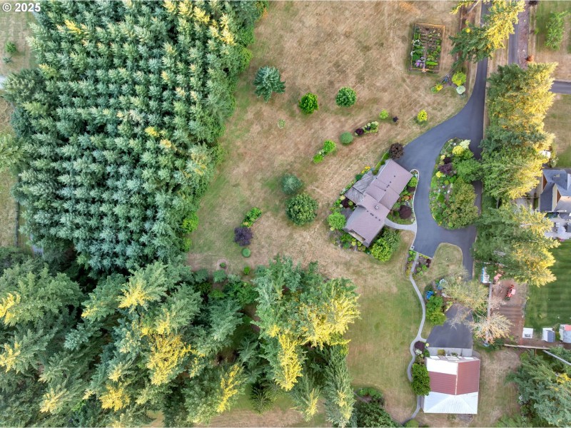 Drone View/UAV