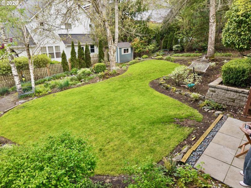 Backyard