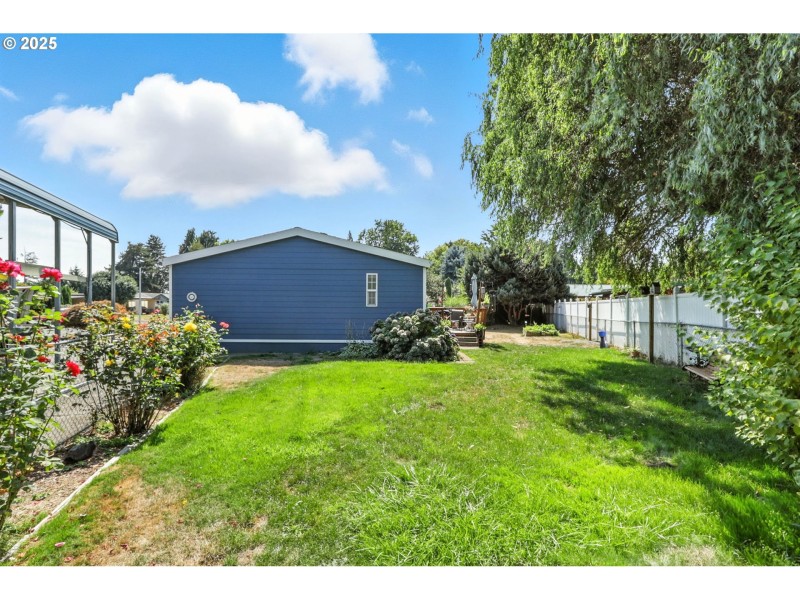 Yard