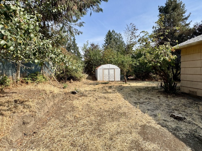 Shed