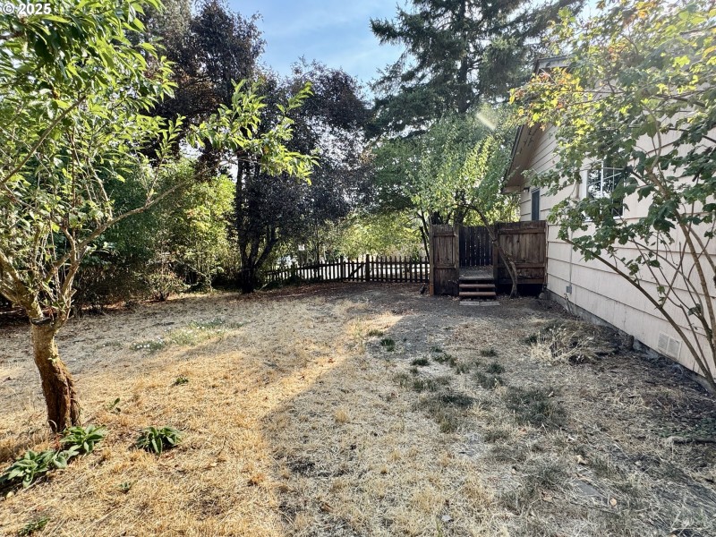 Yard
