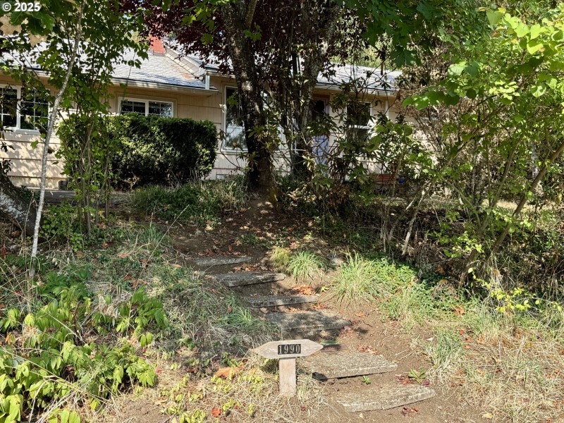 Yard