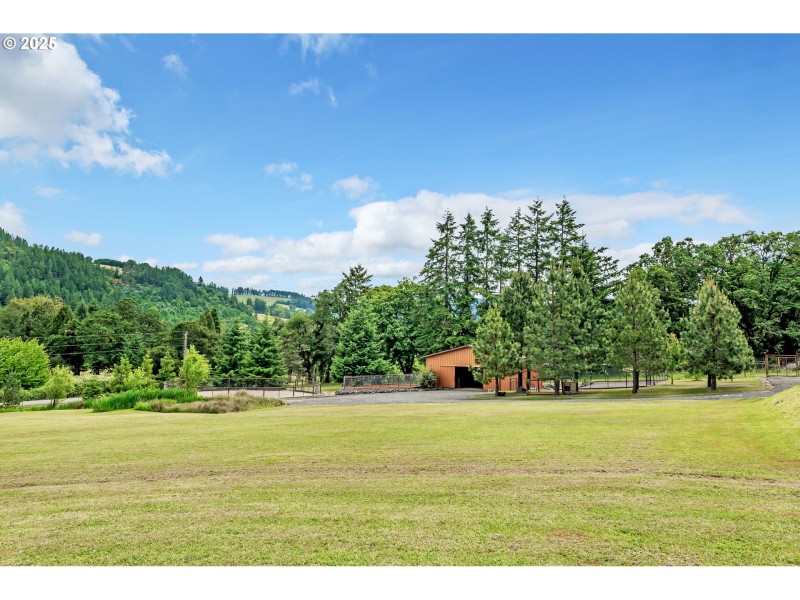 Pasture