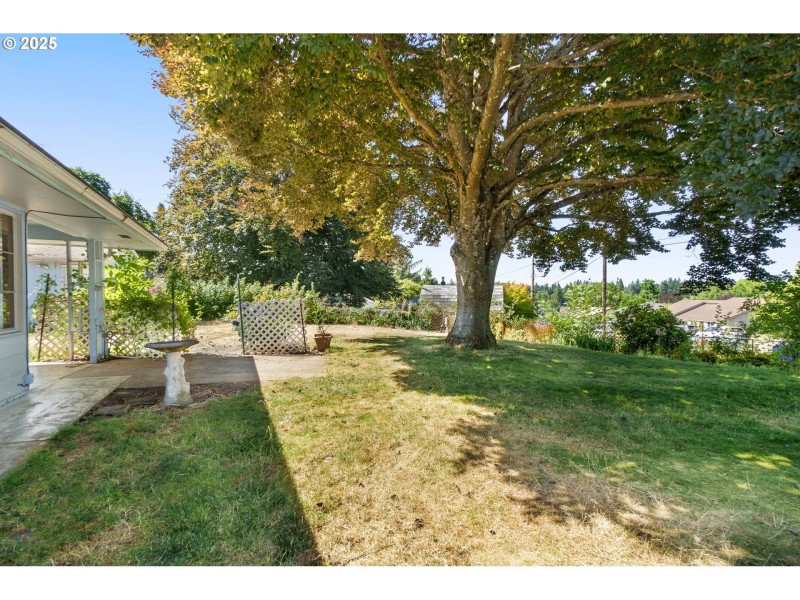 Front Yard