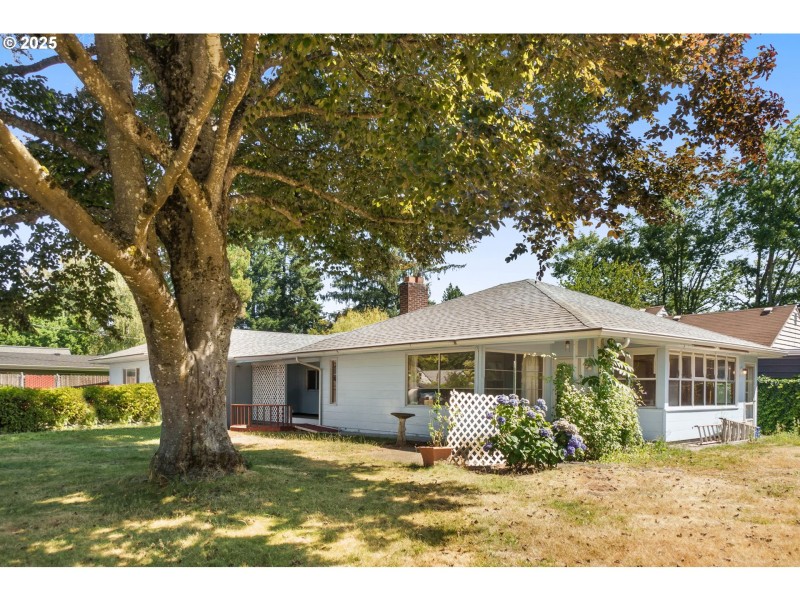 Front Yard