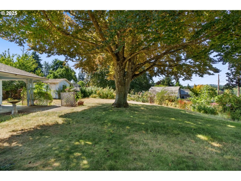 Front Yard