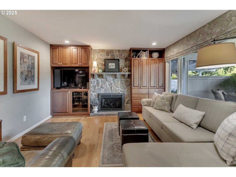 Fireplace Gas Burning Stove/Insert