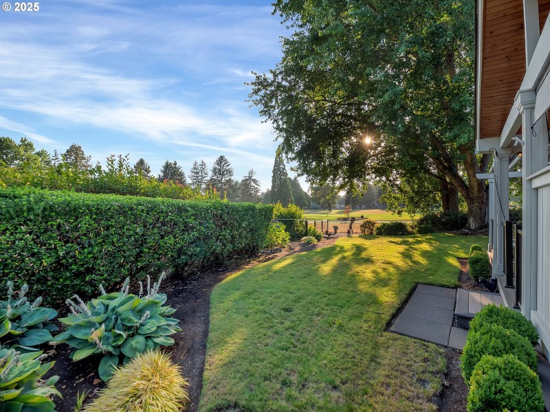 Backyard