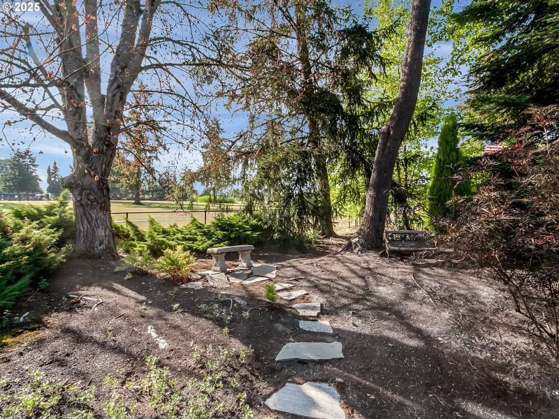 Front Yard