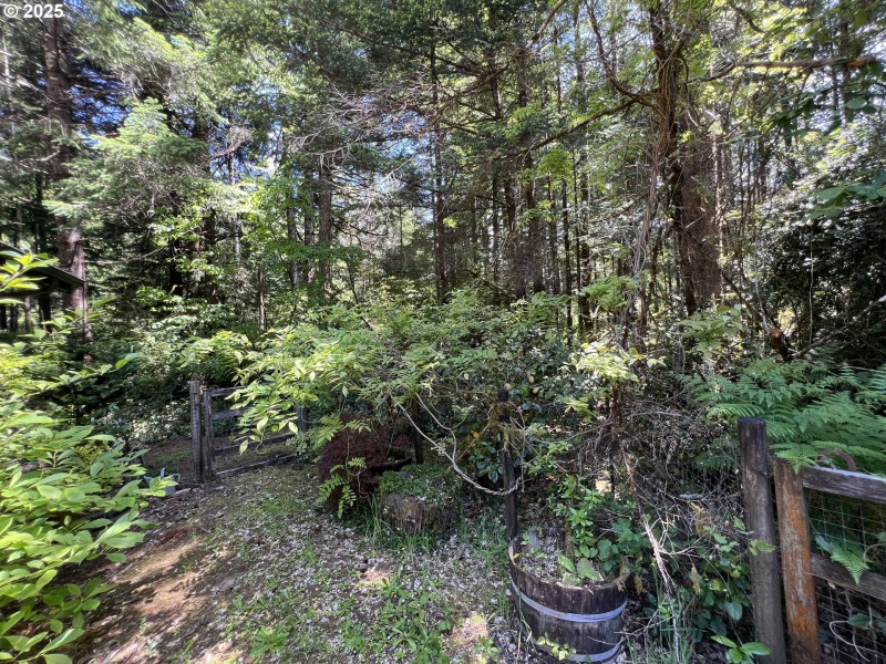 Yard
