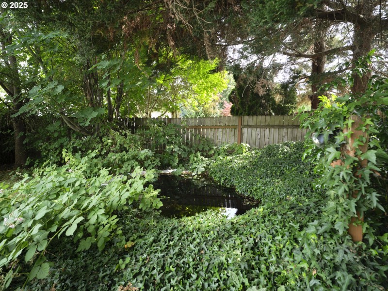 Water Feature