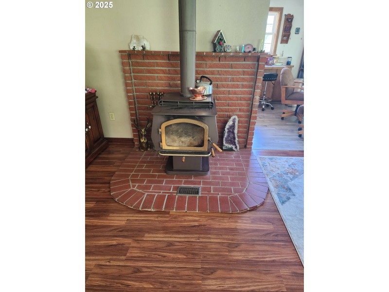 Fireplace Wood Burning Stove/Insert
