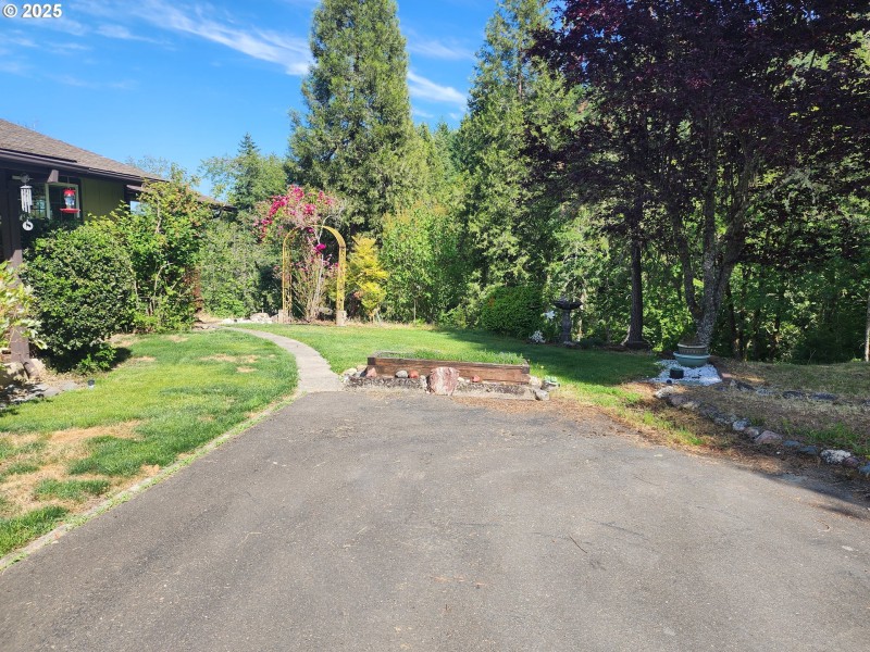 Front Yard