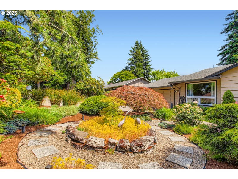 Front Yard