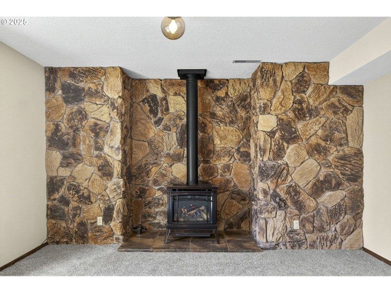 Fireplace Gas Burning Stove/Insert
