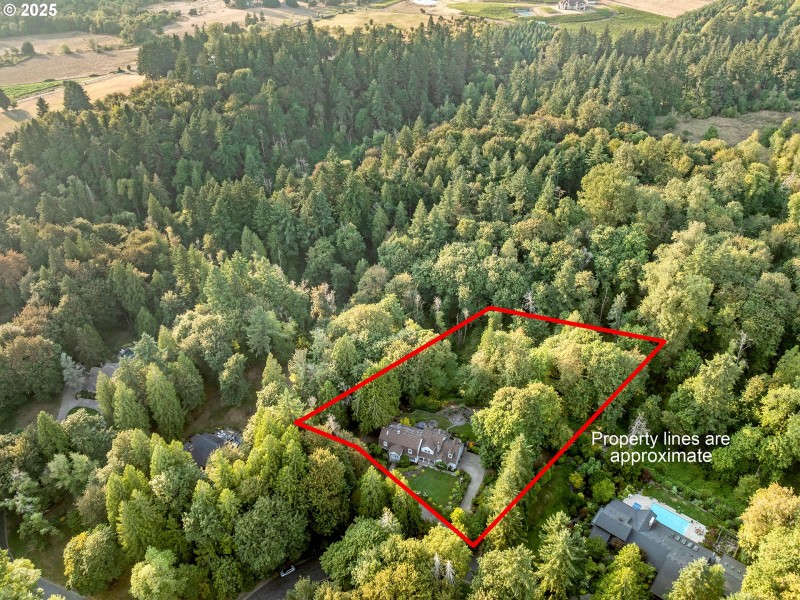 Drone View/UAV