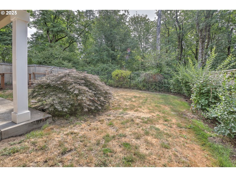 Green Space