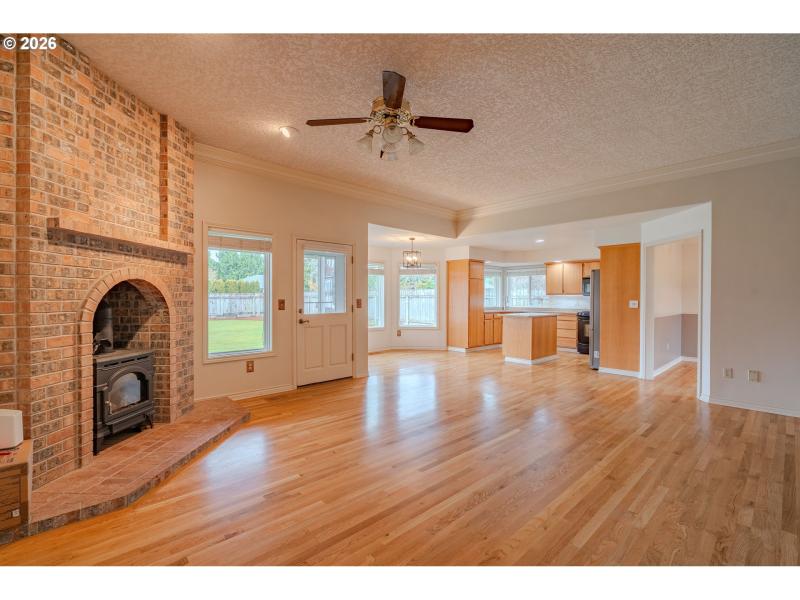 Fireplace Gas Burning Stove/Insert