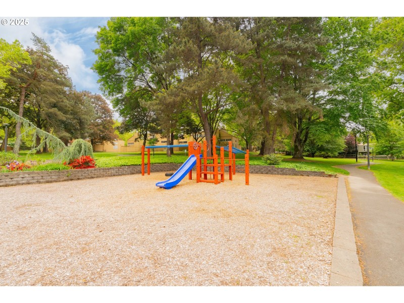 Community Playground