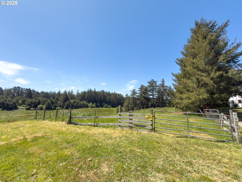 Pasture