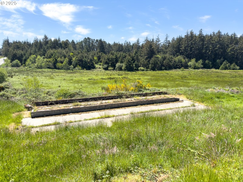 Pasture