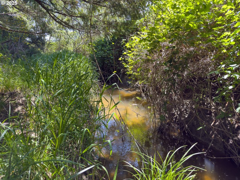 Creek