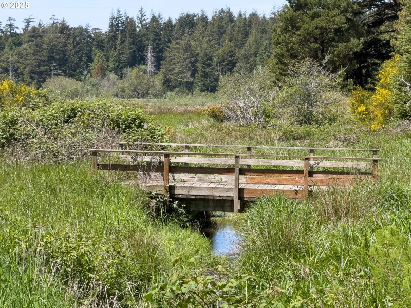 Creek