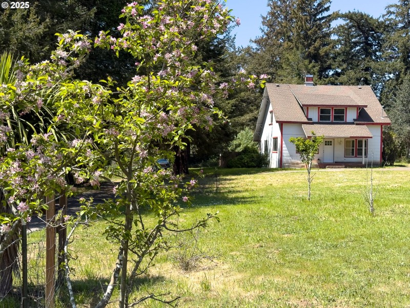 Front Yard